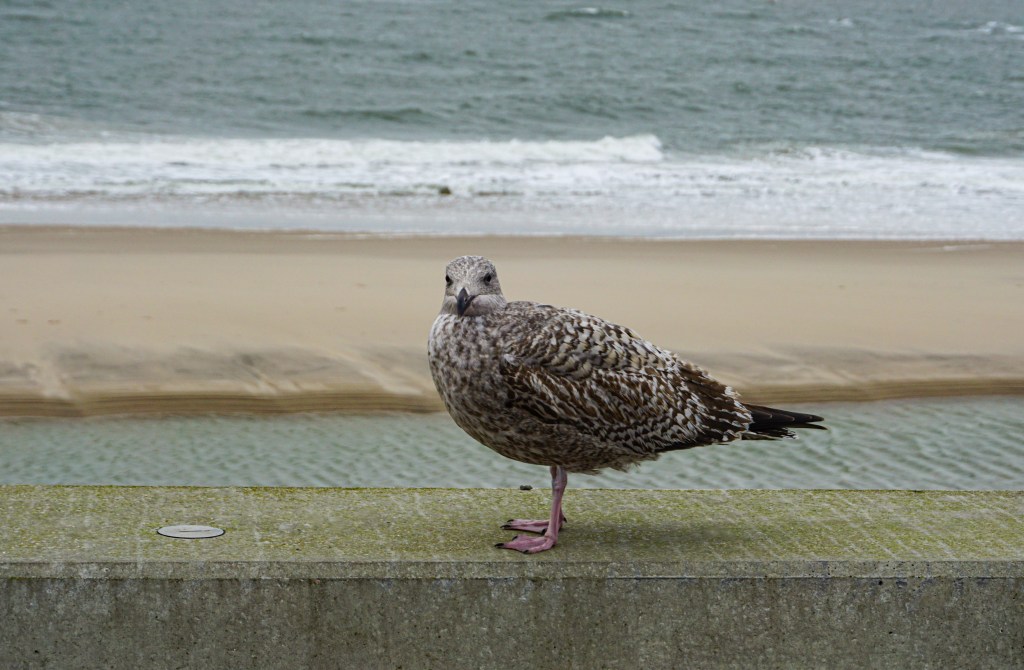 Die nächste Reise steht bevor