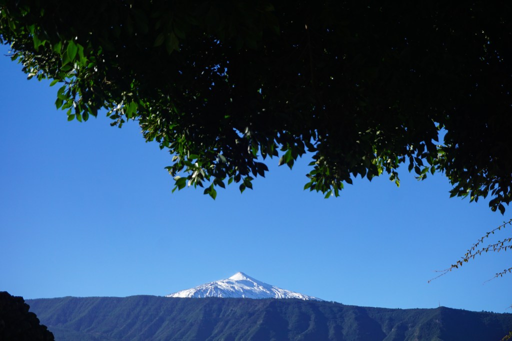 Extra schwer – nach Teneriffa mit Muskelfaserriss