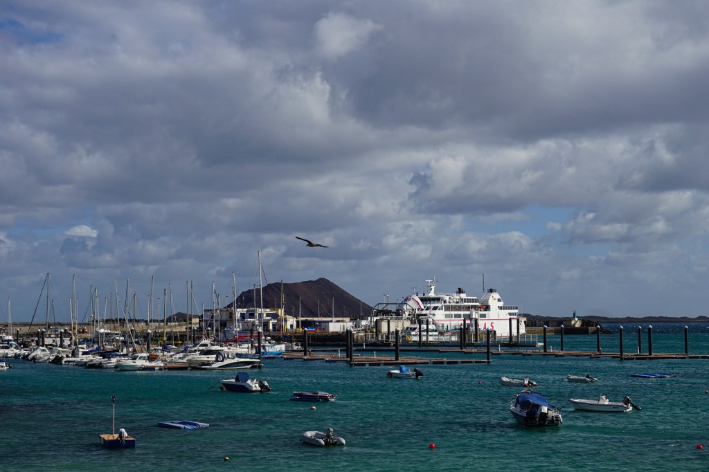 Nächste Haltestelle: Fuerteventura